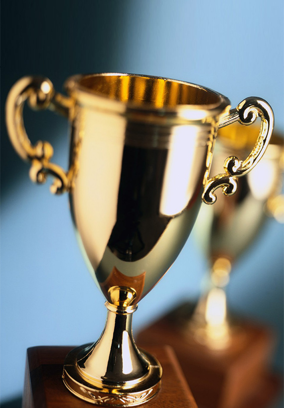 Yancheng Yanitiger Auto Parts Co., Limited